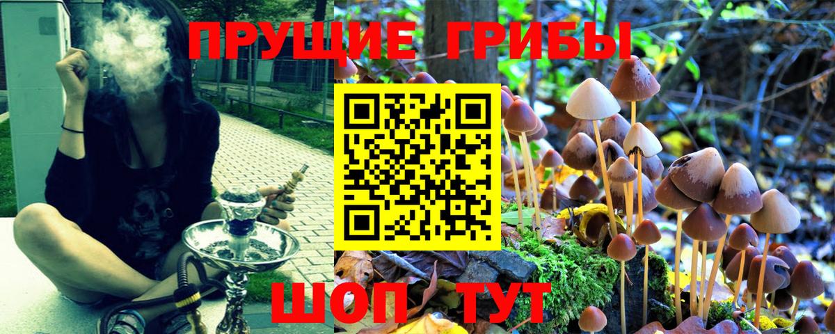 Астрахань  Псилоцибиновые грибы ЛСД  Галлюциногенные грибы GOLDEN TEACHER  Вход с VPN 